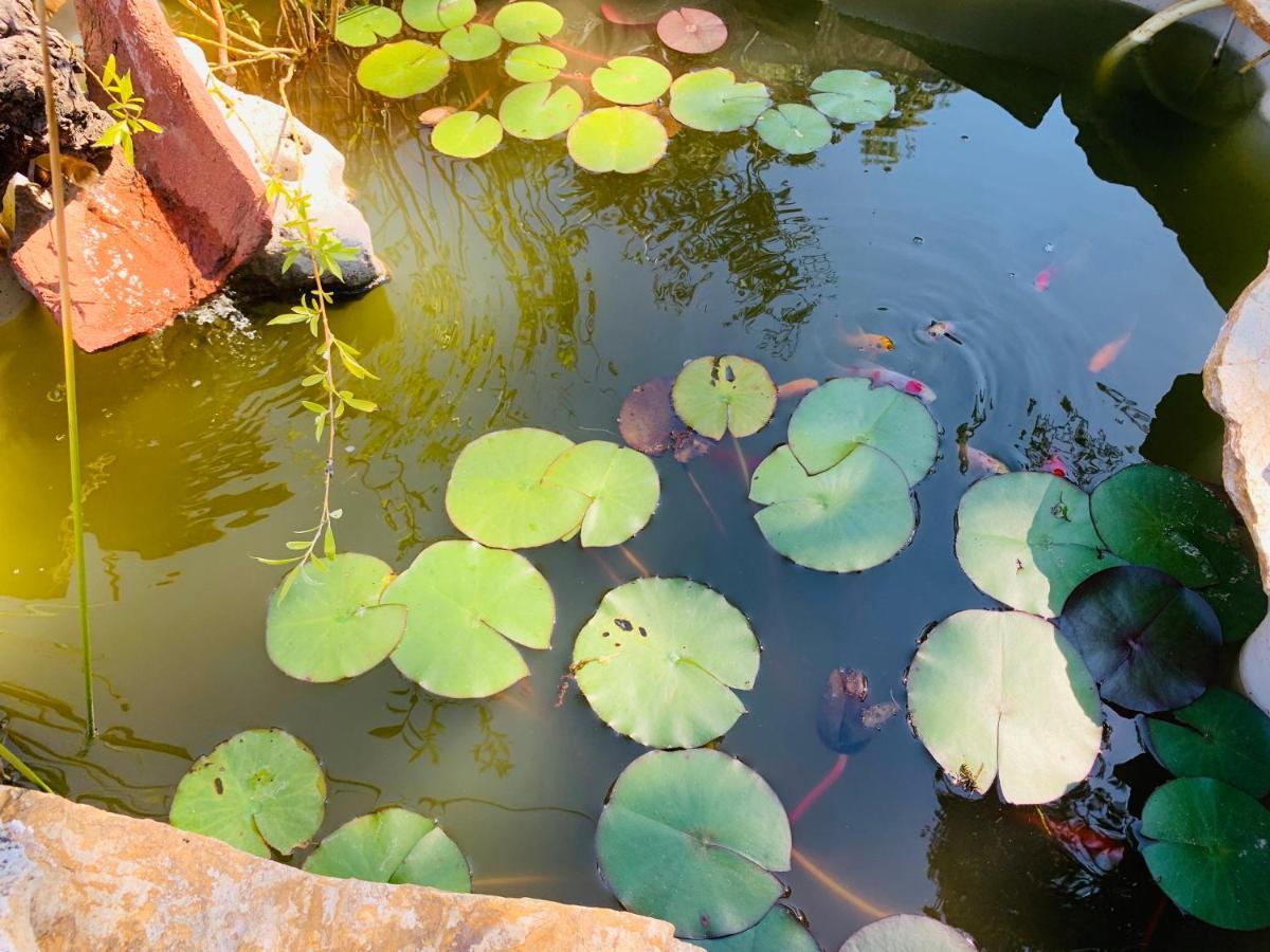 Jaramundi Villa Villa del Prado Bagian luar foto